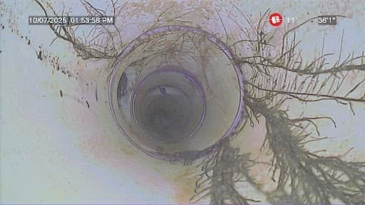 Licensed plumber performing sewer line inspection