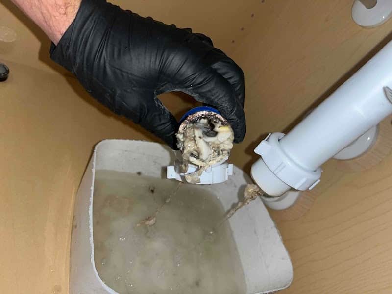 Licensed plumber performing sewer line inspection