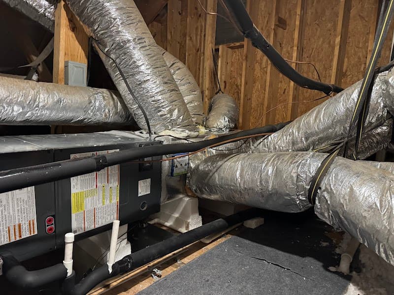 Professional excavation for pipe replacement