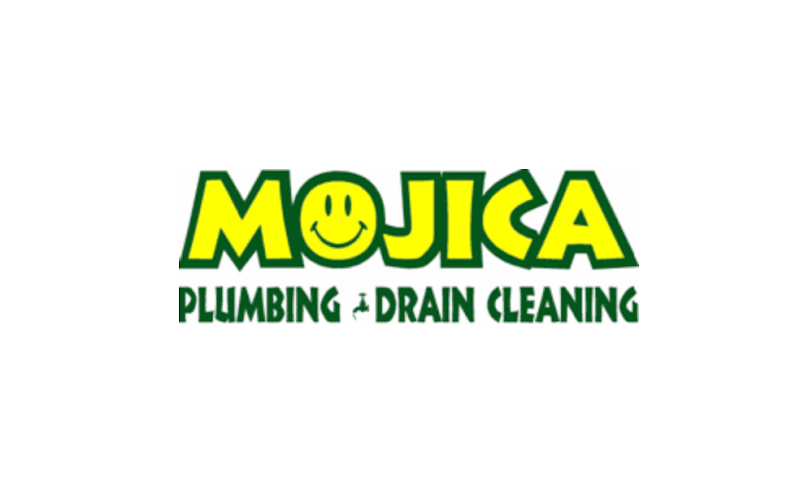 Licensed plumber performing sewer line inspection